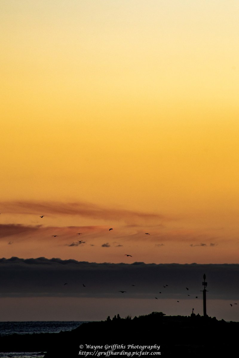 HardingGruff's tweet photo. Stay in one spot long enough to watch the morning unfold #photographyislife #photographylovers #capture #moment #photographyisart #StormHour #newzealand #capturenz #dunedinnz #earlymorning #sunrise #goldenhour https://t.co/c0MXB80kxI