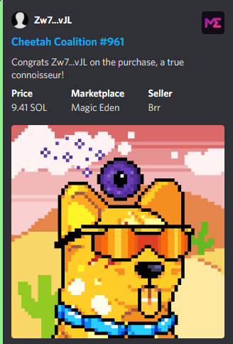 CheetahSOL's tweet photo. Cheetah gang cheetah gang cheetah gang 
Cheetah gang cheetah gang cheetah gang 

spent 10 racks on new chain

my bitch love do cocaine

Rank 1 SOLD for 9.41 SOL 🔥👀 https://t.co/b6xktQROOQ