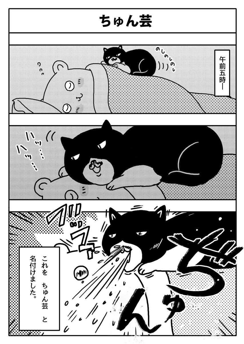 #漫画が読めるハッシュタグ
#猫のいる暮らし
#猫 