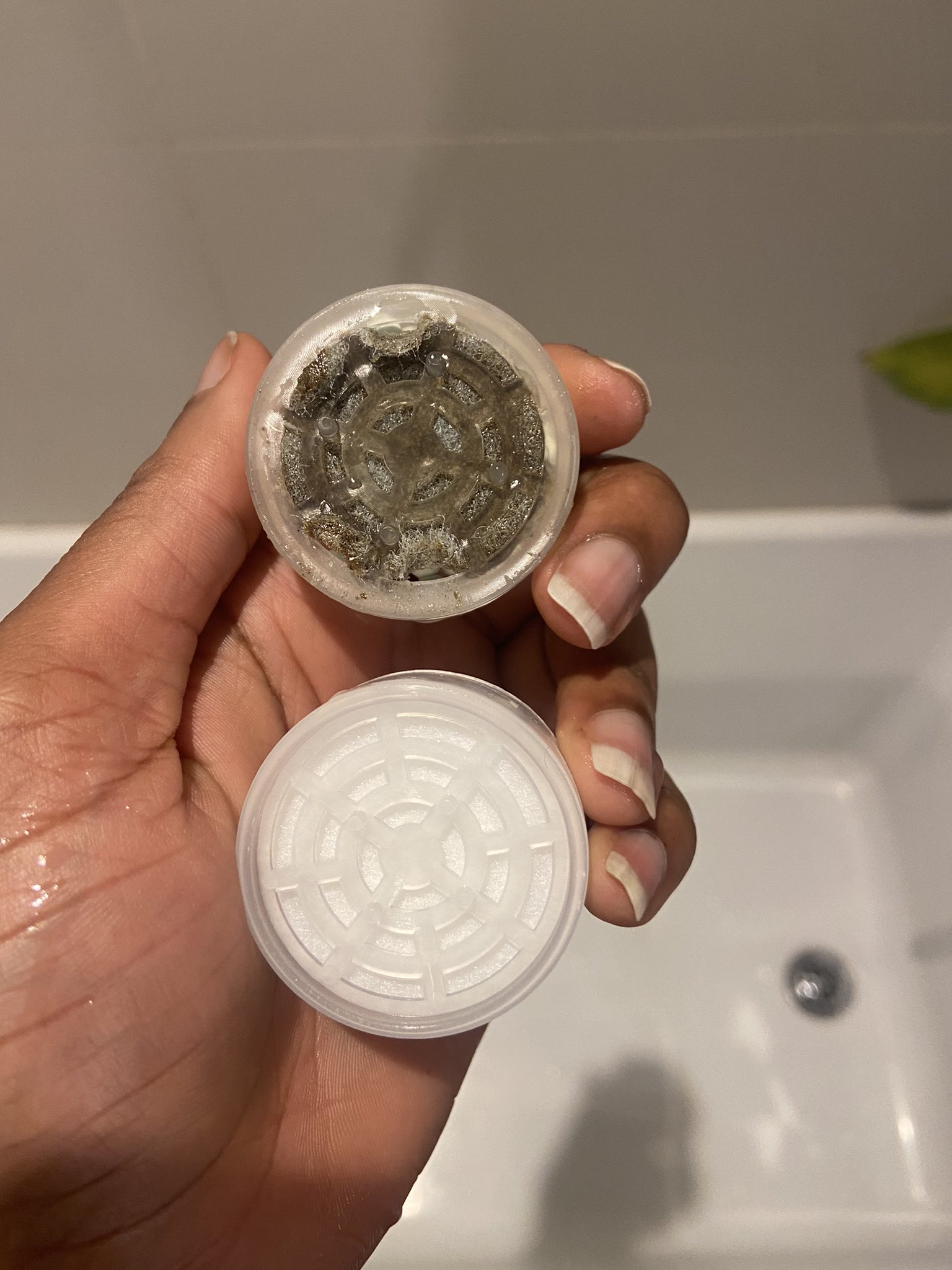 Jolie (jolieskinco) / Twitter