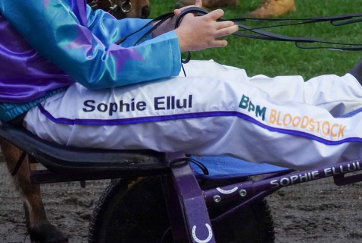 BPM BLOODSTOCK tweet media