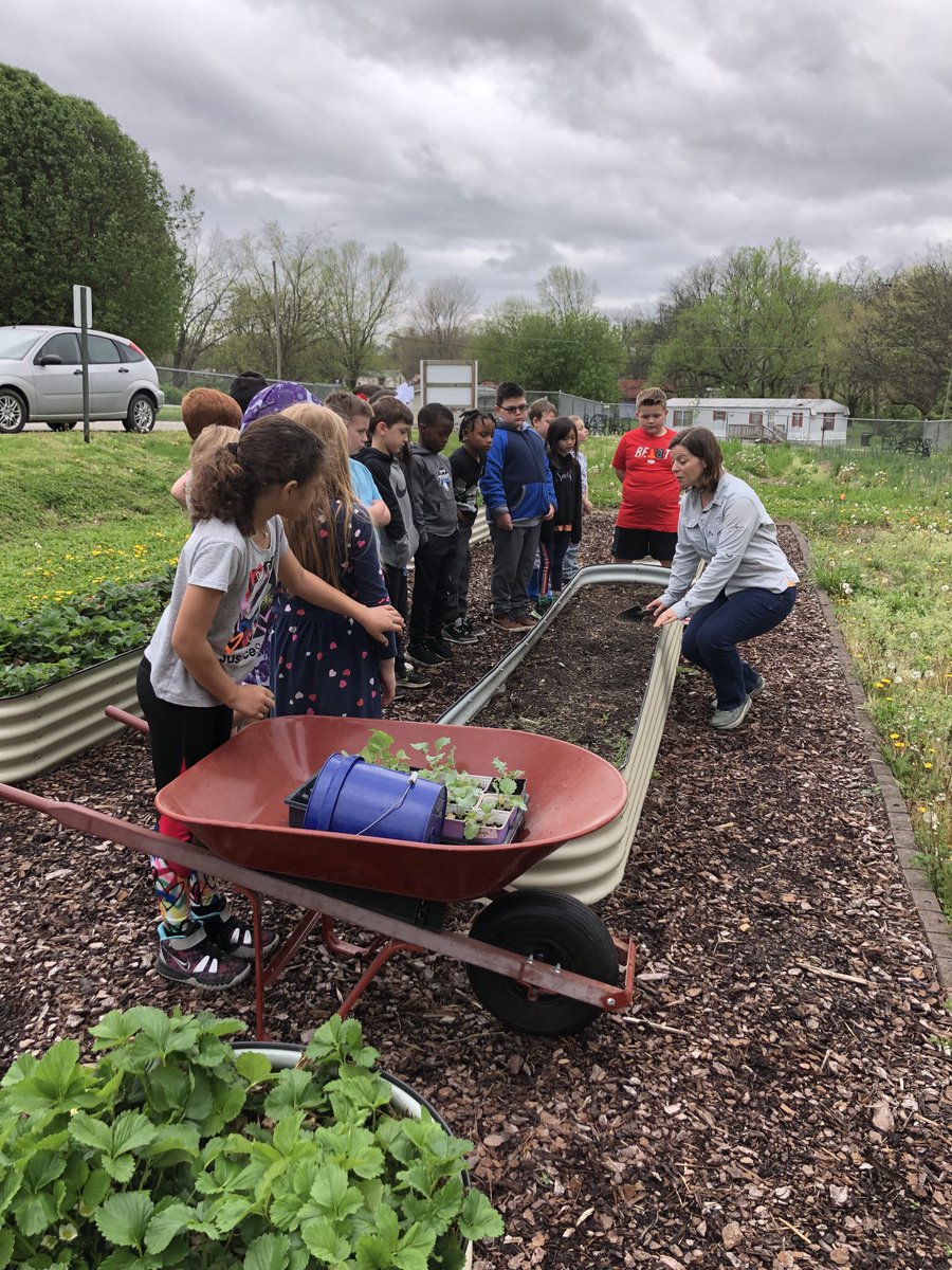 STEM DAY never disappoints at UES!   We were lucky enough to go out into the garden between rain showers to see the progress of the strawberries. 🍓 We also pulled weeds around the blueberry bushes. 🫐  Lastly, we fed the chickens. 🐔