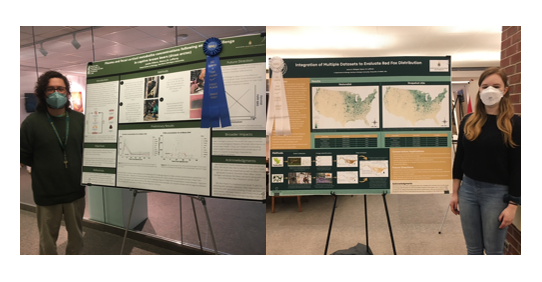 Diana Lafferty tweet media