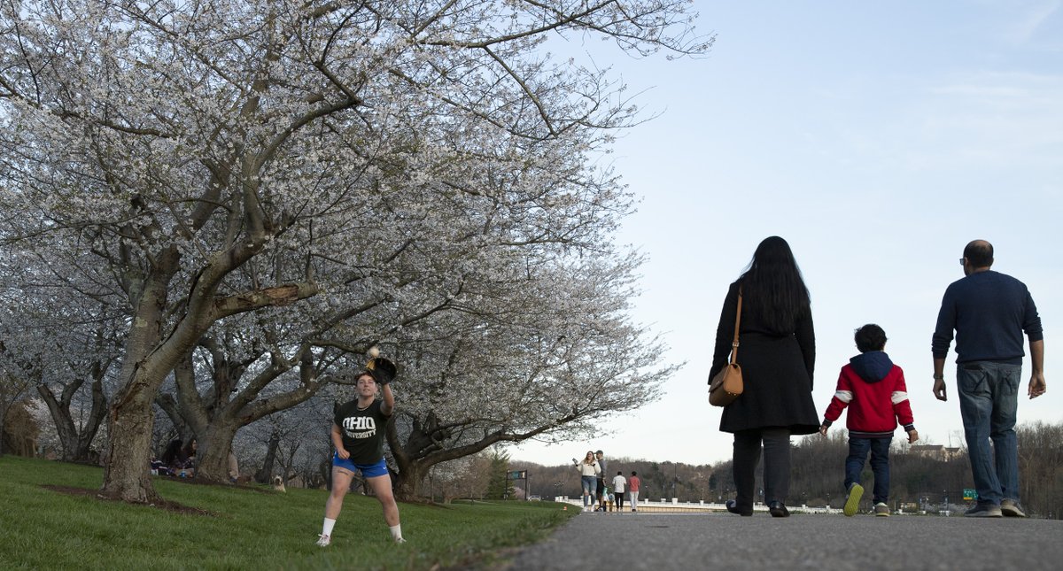 ohiou's tweet image. Every spring, the Athens and OHIO community flock to the Hockhocking Adena Bikepath to enjoy what @NatGeo has named as one of the best spots in the U.S. to see cherry trees.

Check out our photographers’ best blossom shots from 2022! 🌸

📸» ohio.edu/news/2022/04/s…

#ForeverOHIO