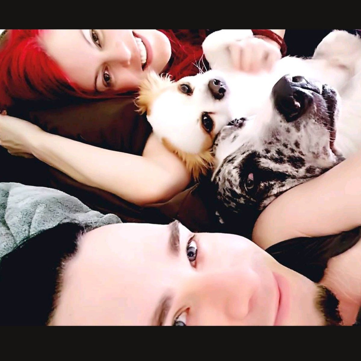 Yes, of course! But a better way to word this is, sometimes our animals allow US to sleep on the bed. 😉🐶🐶