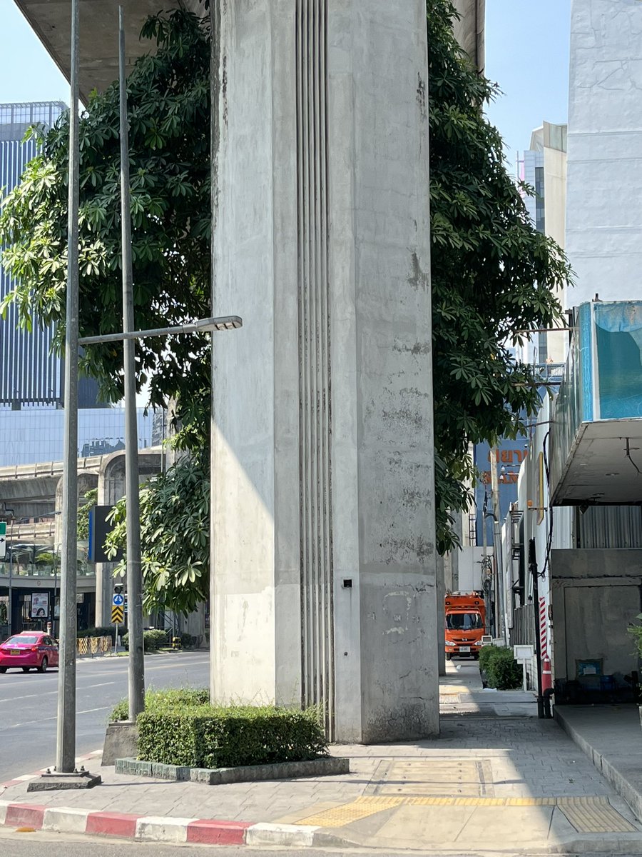 ad_acherry's tweet image. กรุงเทพนี่รถไฟฟ้าเยอะดีจัง มีทั้งแบบ ใช้รางและใช้ถนน 🤣 #throwbackYesterday