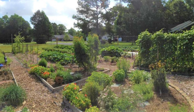 RiverBendGrows's tweet photo. In our 26 raised beds we experiment with varieties of vegetables, and connect with the surrounding community through food distribution and workshops teaching gardening and food preparation. We donate at least 10% of the harvest yearly to the under-served and vulnerable. https://t.co/xLx4ix9kfE