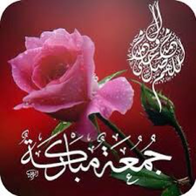 @Yii1m <a href="/1Yii8/">قــــروب اسيـــــــل علي♥ للـــــدعــــــــــم</a> <a href="/9ljl2/">دواء القلوب 💞</a> @soxcn <a href="/moj3l/">أبو حفص القرشي</a> @Mi1r2 @sji_2 @jjj570 @f12777 <a href="/20t09/">هديل محمد 💫</a> @shab785 <a href="/0MNS14/">quick FB 💯🚨👈</a> @0bigban <a href="/PRani_7/">Professor Sundas (I Stand With Civil Supremacy)</a> <a href="/suni_49/">یٰسین بودلہ</a> @F__MSF @1Hizbur <a href="/MirGee4/">پڑوEEC💧</a> <a href="/Zabip55/">Zaib Ali</a> <a href="/kaliamy_1/">UmÅîŘ MâĹiK P🇵🇰mLn🐅</a> <a href="/Hira_awa/">Hira</a> <a href="/Rana15Ml/">Rana Riaz🇵🇰</a> <a href="/0MNS00/">PMLN AJK</a> <a href="/SufyanZ6/">Sufyan Nawaz</a> @SufyanG0 @1111_ip <a href="/1ehsan33/">احسان</a> شكرا ع الدعم المميز والدائم ي غالية وربنا يسعدك