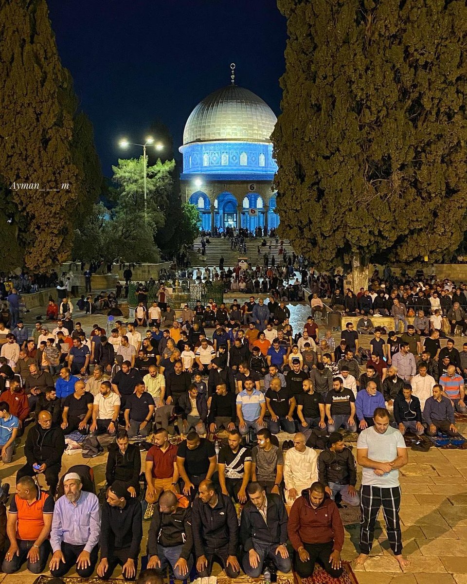 MuhammadSmiry's tweet photo. Al-Aqsa this night. Jerusalem. https://t.co/QdSmCEpjlR