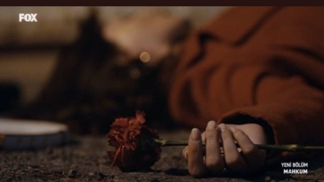 AleynaKalayciu0's tweet photo. Bu nasıl son böyle bitti mi hikayeniz
#cemreuysal #fıratbukut #cemfır #mahkum #fox #veda https://t.co/2pXTGs9Y9k