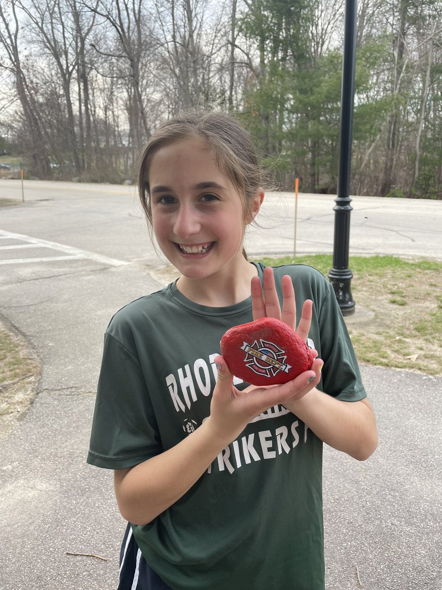 KimDomenico's tweet photo. Found and rehomed two more inclusion stones during our run! @SmithfieldFIRE @InclusionStones @SmithfieldSchls #pleasantviewelementary https://t.co/kOQEo6jIQn