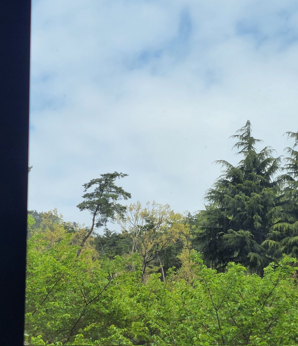 혹시 여기가 정글일까요?
눈 떠보니 정글?