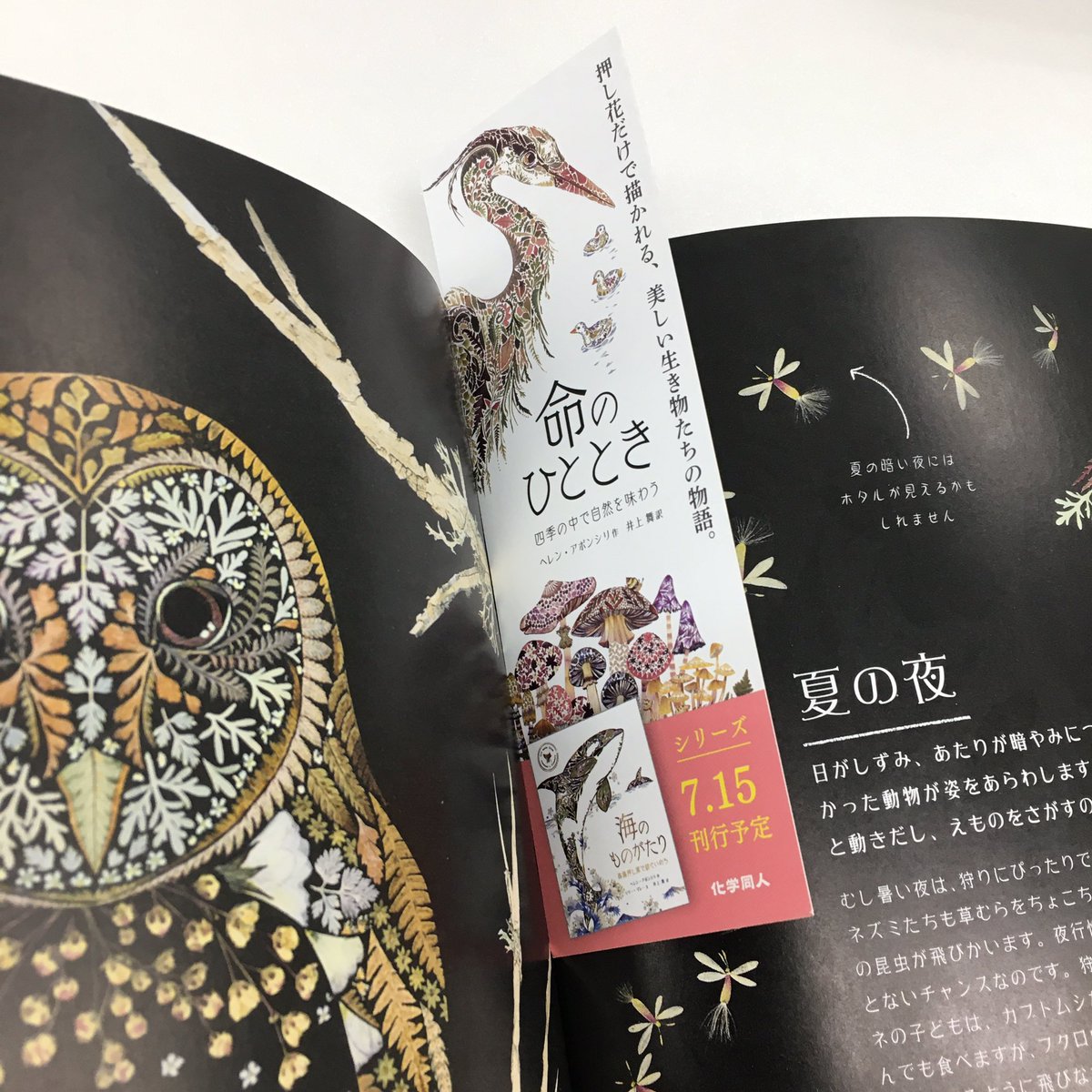 KagakudojinEhon's tweet photo. 【栞ができました🔖】
『命のひととき』と『Hidden Planet』の栞が完成しました!✨✨
それぞれの書籍に挟んでみると…?
わあ!
ますます本の世界観に引き込まれます〜!!
お気に入りのページに挟むも良し、栞単体を眺めるも良しの優れモノです🌟
#化学同人 #命のひととき #HiddenPlanet #栞 https://t.co/PAxUOnFg3Z