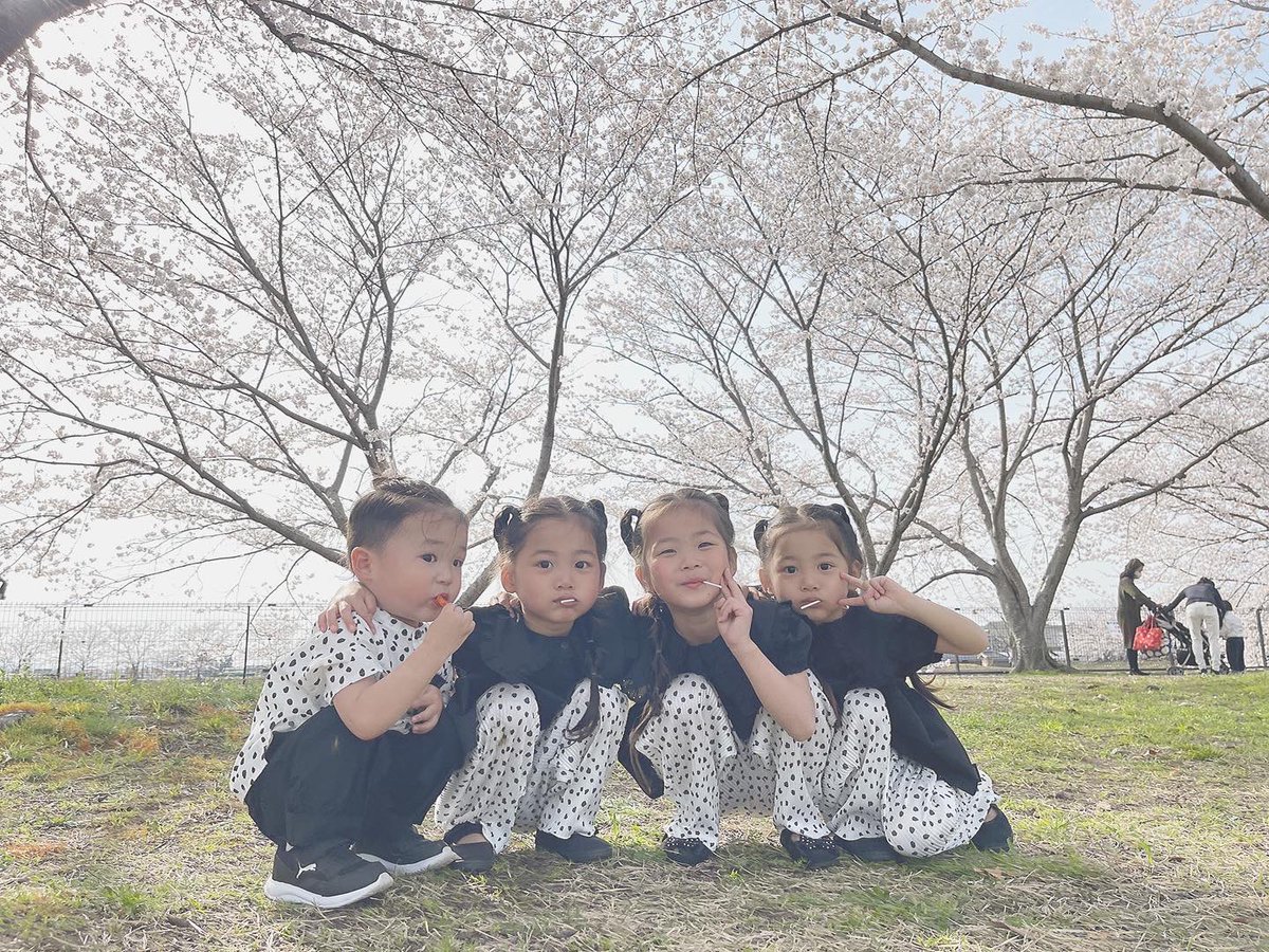 airin0907's tweet photo. 久しぶりのTwitter更新𓂃 𓈒𓏸
Twitter放置しがち。笑

そして久々の4きょうだいphoto📷

桜🌸と菜の花🌼が綺麗な時期に
子供達とプチピクニック行ってきて
お花見してきたよーう🥰 https://t.co/IGE8PjpZge