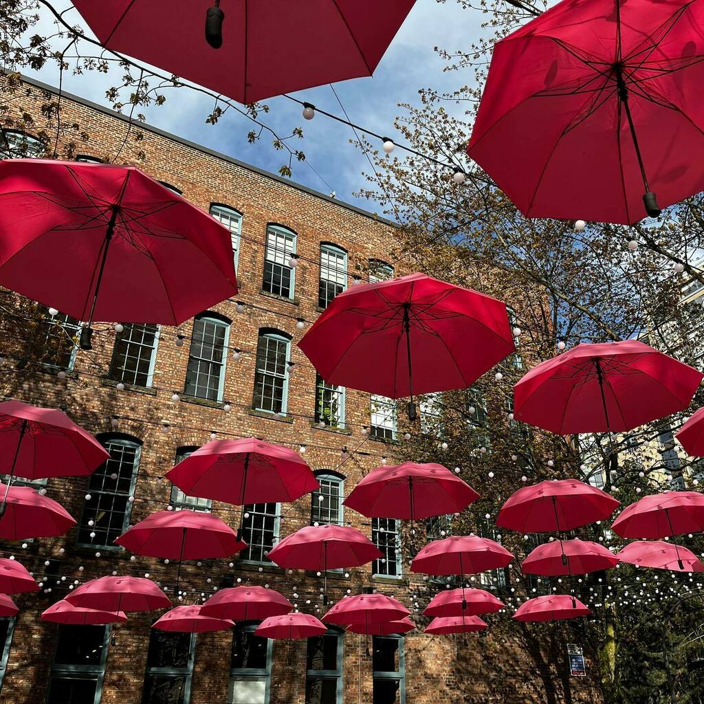 jminter's tweet photo. Tickled pink to not need an umbrella today!
@iyaletown cherry pink umbrellas to celebrate the cherry blossom season!
#cherryblossom #cherrypink #umbrellas #art #instalation #yaletown #artabove #yaletownisblooming #billcurtissquare #vancouver https://t.co/pFwKu6fuUA