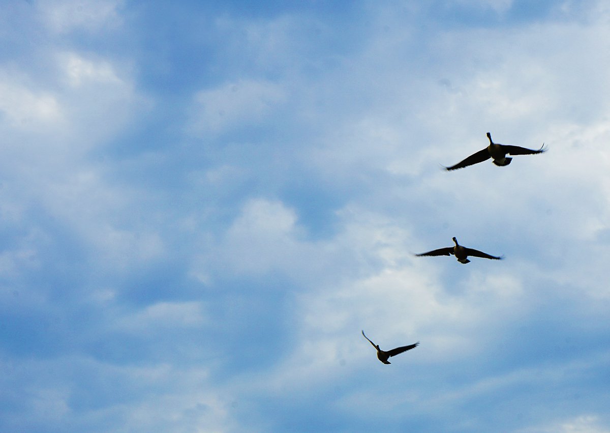 The Hyperrealist tweet media