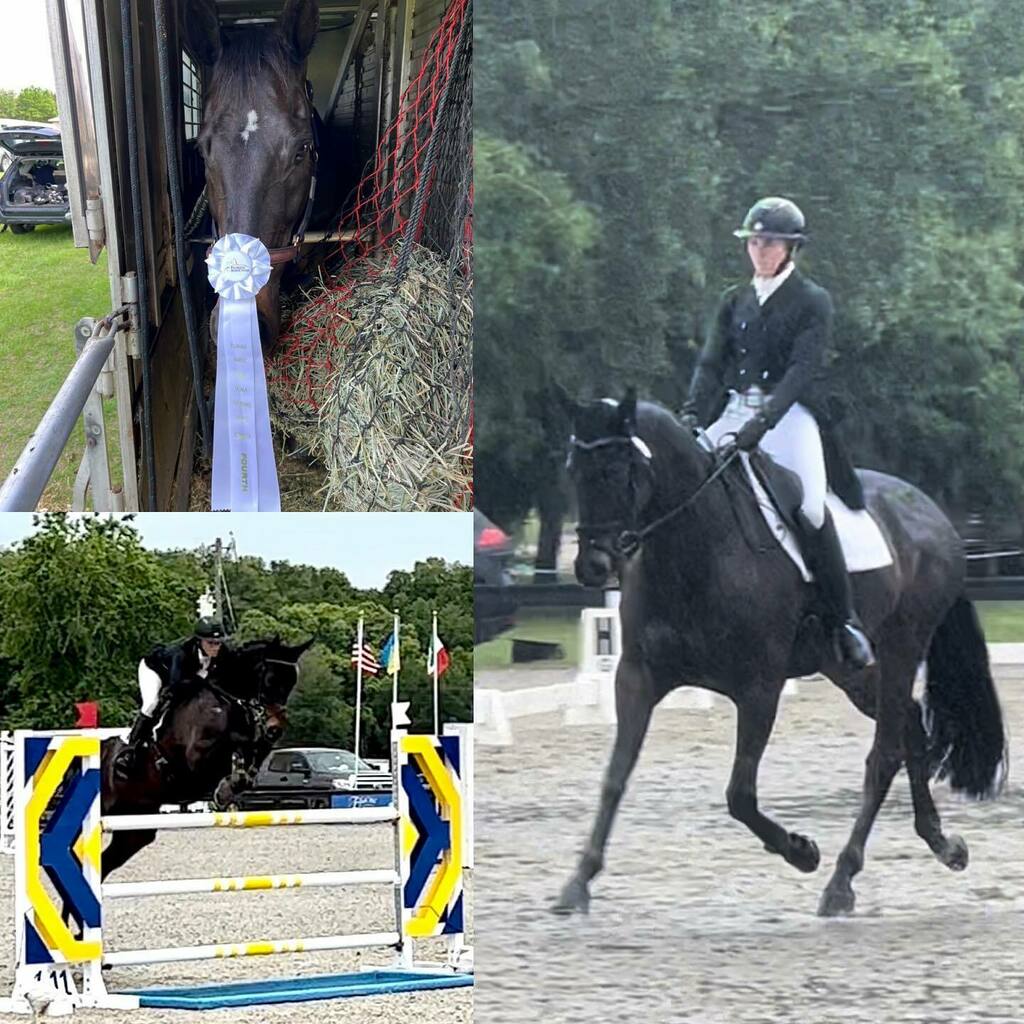 WallaceEventing's tweet photo. Now that’s more like it! 

Super proud of #LetitbeLee(owned by Donna Biggs and Rosemarie Spillane). We scored a 25.6 our Personal Best! even in the rain and pulling a shoe 🤦‍♀️. He jumped a fantastic clear round to finish tied for 4th and the highest pla… https://t.co/U6Oe9ZQuYx https://t.co/w2X1N5Qod9