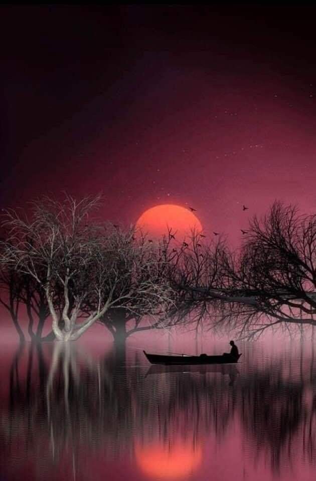 itz_adi__'s tweet photo. تو نے دیکھا ہے کبھی ایک نظر شام کے بعد
کتنے چپ چاپ سے لگتے ہیں شجر شام کے بعد

#اردو_زبان https://t.co/h8yQlkeLzV