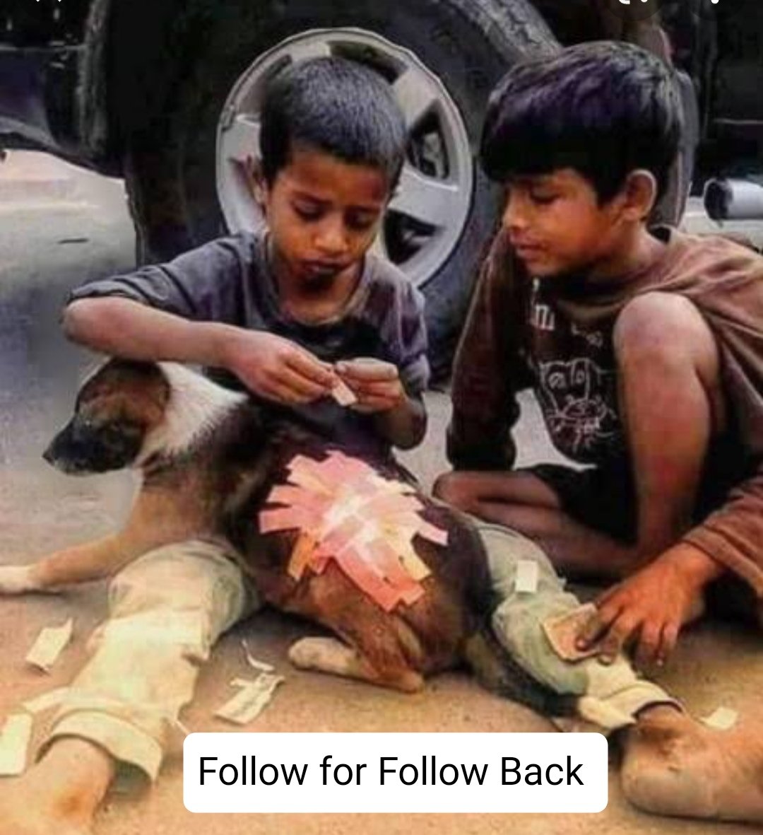 MdRizwan0000000's tweet photo. #humanity still Alive
#MdRizwanAnsari
follow for Follow Back all Id
Follow back 💯💯❤️💯💯❤️💯💯❤️💯💯❤️💯
@MdRizwan0000000 @MdRizwan000 @MdRizwan00000 @MdRizwan0000 https://t.co/dcLFzhPeGq