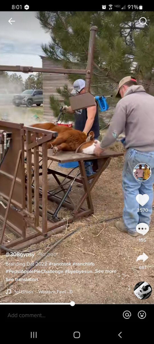 Tyson Narjes tweet media