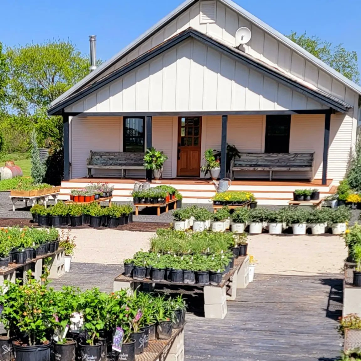 Rootedin_TX's tweet photo. We are thrilled to announce we are officially Rooted In Plants!! Our budding nursery is set to open THIS Friday and Saturday 4/15 and 4/16!!! We'd absolutely LOVE to see all of our favorite #PlantPeople!
#TXplants #PrettyPots #BotanicalTreasures #EasytoGrowHouseplants https://t.co/cZfLGNIaHx