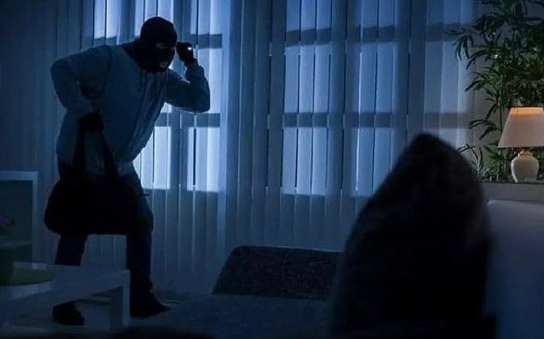 DeepweBlack's tweet photo. Evinize hırsız girerse yorganın altına saklanmayın. Etrafınızı görmediğiniz takdirde sizi daha kolay etkisiz hale getirebilir. Siz b��yle bir durumla karşılaşsanız ne yapardınız? https://t.co/VkoVrkxpBV