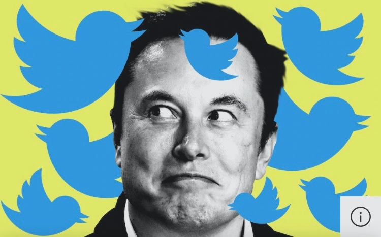Don’t get me banned Happy to #ElonMusk #ElonMuskTwitter #KINGDOM🐥