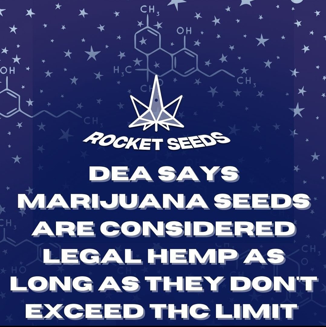 CannaTalk101's tweet photo. We are celebrating with you @rocket_seeds!!!
If you are on the lookout for trusted Cannabis Seeds, head over to https://t.co/AECKI3HZ9f, your one-stop shop for premium cannabis seeds!
#RocketSeeds @POTBROTHERSATL1 https://t.co/l4pilzNuAX