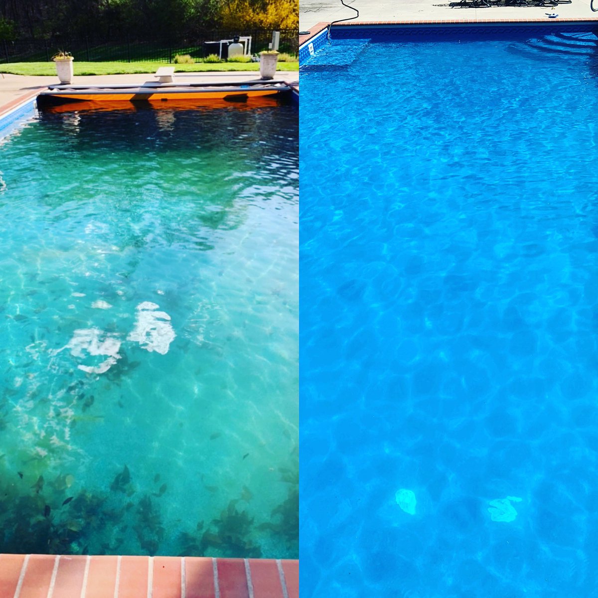 PoolPreppersLLC's tweet image. Before and after pic of our most recent #pool opening!