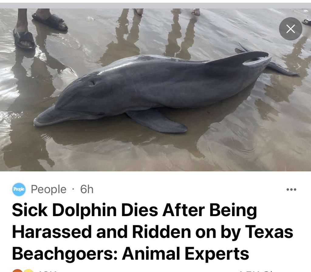 TammyPescatelli's tweet image. And this is why, the world is going to end….