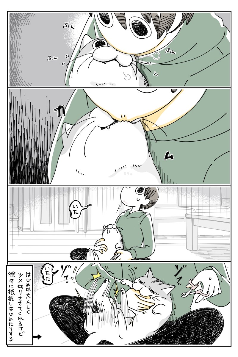 マンガ 爪切りを終わらせる猫 爪切りは嫌 でも飼い主の膝からは動こんぞ という強い意志 可愛すぎかよ この貫禄 Togetter