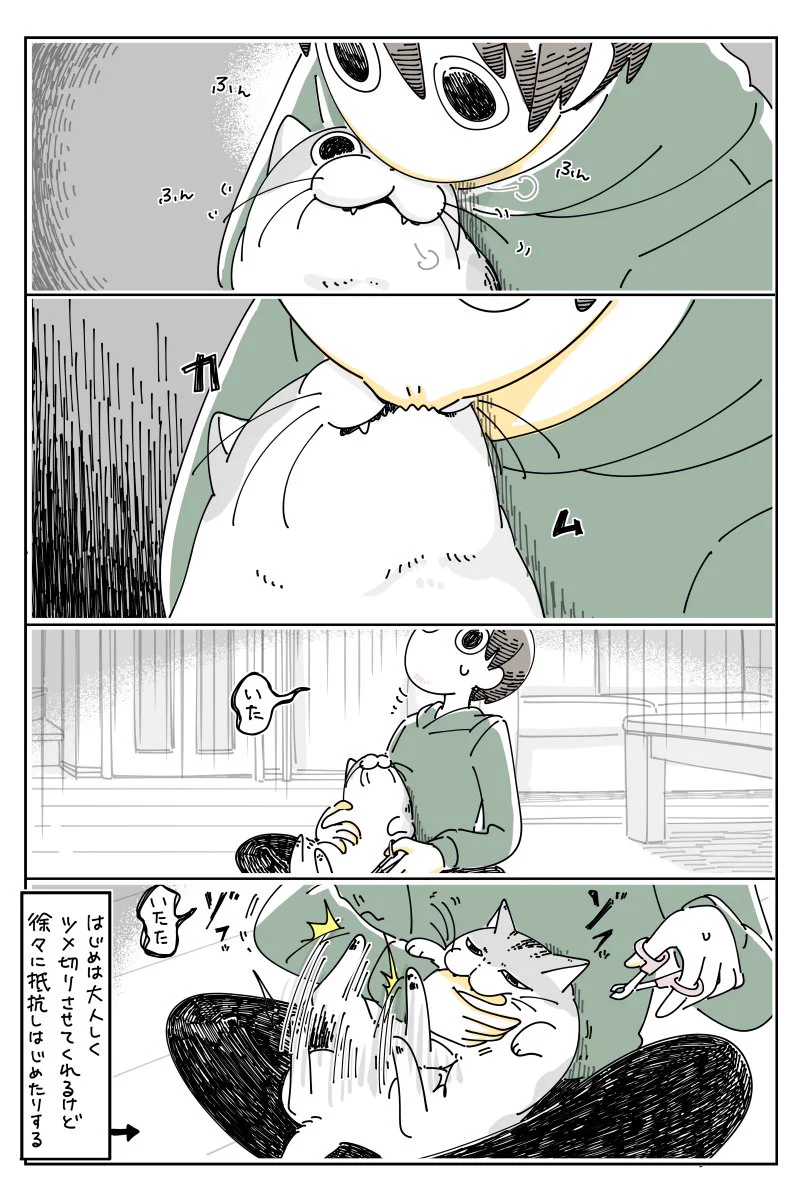 爪切りは嫌だけど膝の上は･･･！猫の爪を切るお話を描いた猫漫画！