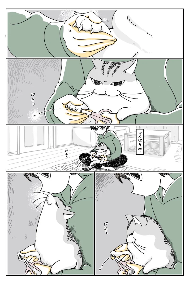 爪切りは嫌だけど膝の上は･･･！猫の爪を切るお話を描いた猫漫画！