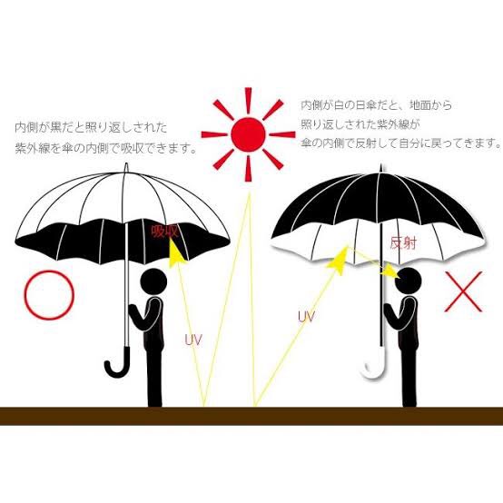 【保存版】紫外線が直撃!？日傘を使うならここを見て!