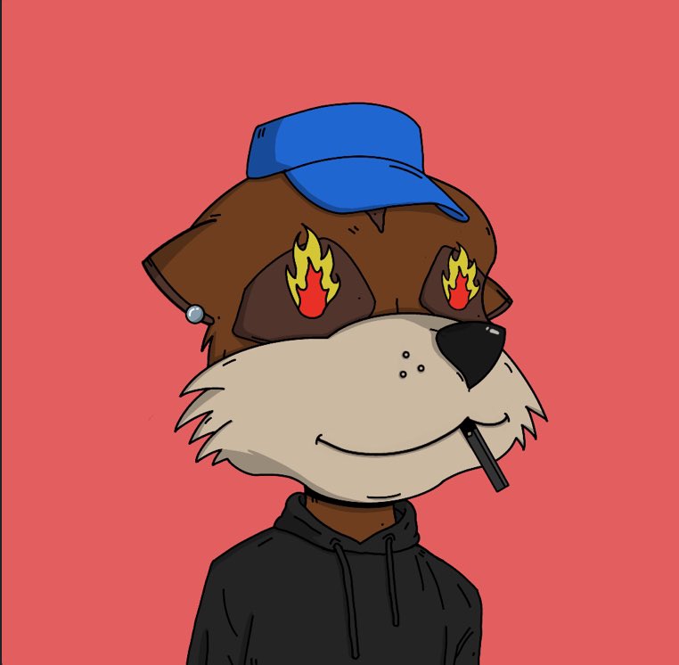 Almost forgot how good these kats look. <a href="/mmccsolana/">𝐌𝐞𝐞𝐫𝐤𝐚𝐭 𝐌𝐢𝐥𝐥𝐢𝐨𝐧𝐚𝐢𝐫𝐞𝐬 𝐂𝐂 ⁴²⁰⁶⁹</a> was my first mint ever and this brings back memories. Let’s start a Kat follow Kat train. Where’s the #MeerkatMob at?!?