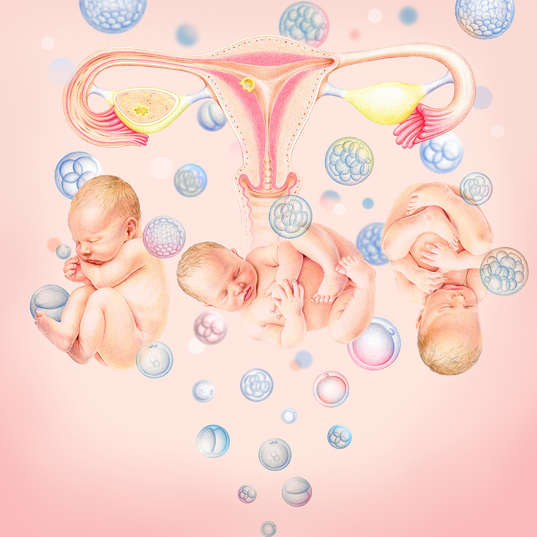 emmacreats's tweet photo. Where your life comes from. An artwork I did to admire lives. 
#art #obgyn #baby #uterus #life https://t.co/JWUzF1q86g