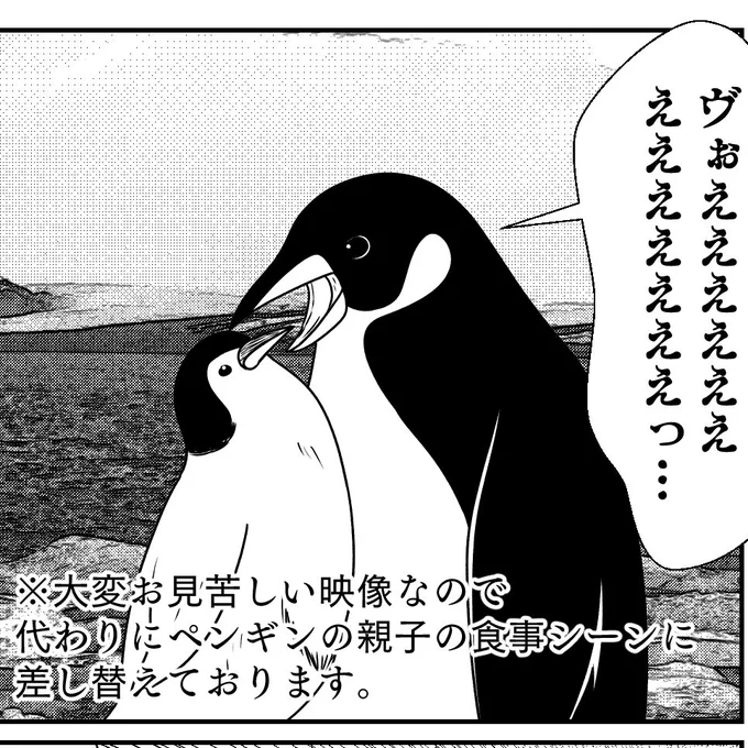 生々しくゲロ吐くシーンはダメそうだから
ペンギンの親子の食事シーンに差し替えましたわ 