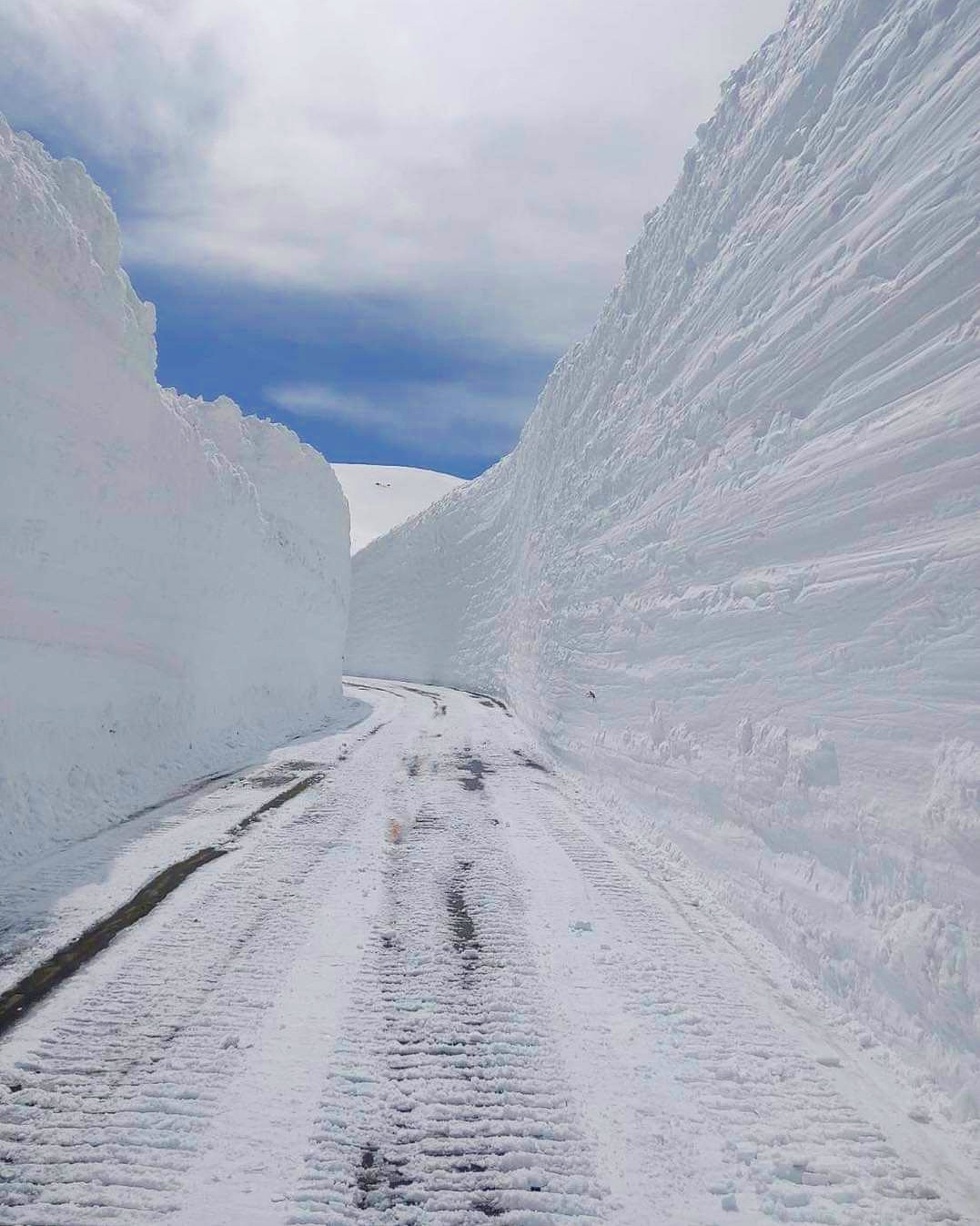 公式 立山黒部アルペンルート 今年の 雪の大谷 の最高地点の高さは 18メートル 平年より2メートル高く ヤクルト約240個分の高さです 本日は雨であいにくのお天気ですが 立山黒部 雪の大谷フェスティバル は開催中 T Co Ewou1tievo