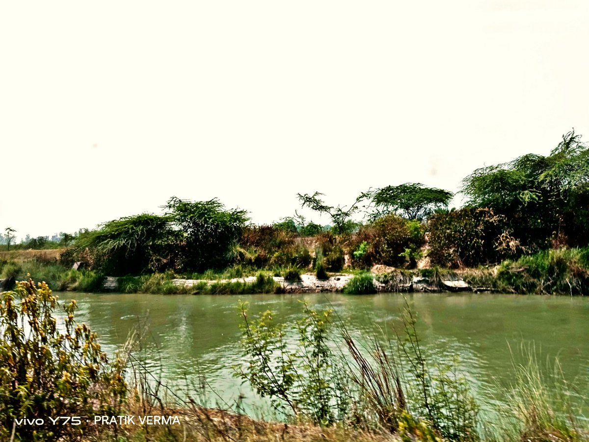 ayumay_team's tweet photo. 🏞️  ⊙.☉

#photo #NaturePhotography 
#nature River #PhotoOfTheDay 

👋👋👋👋👋😁 https://t.co/TWpneOADoC