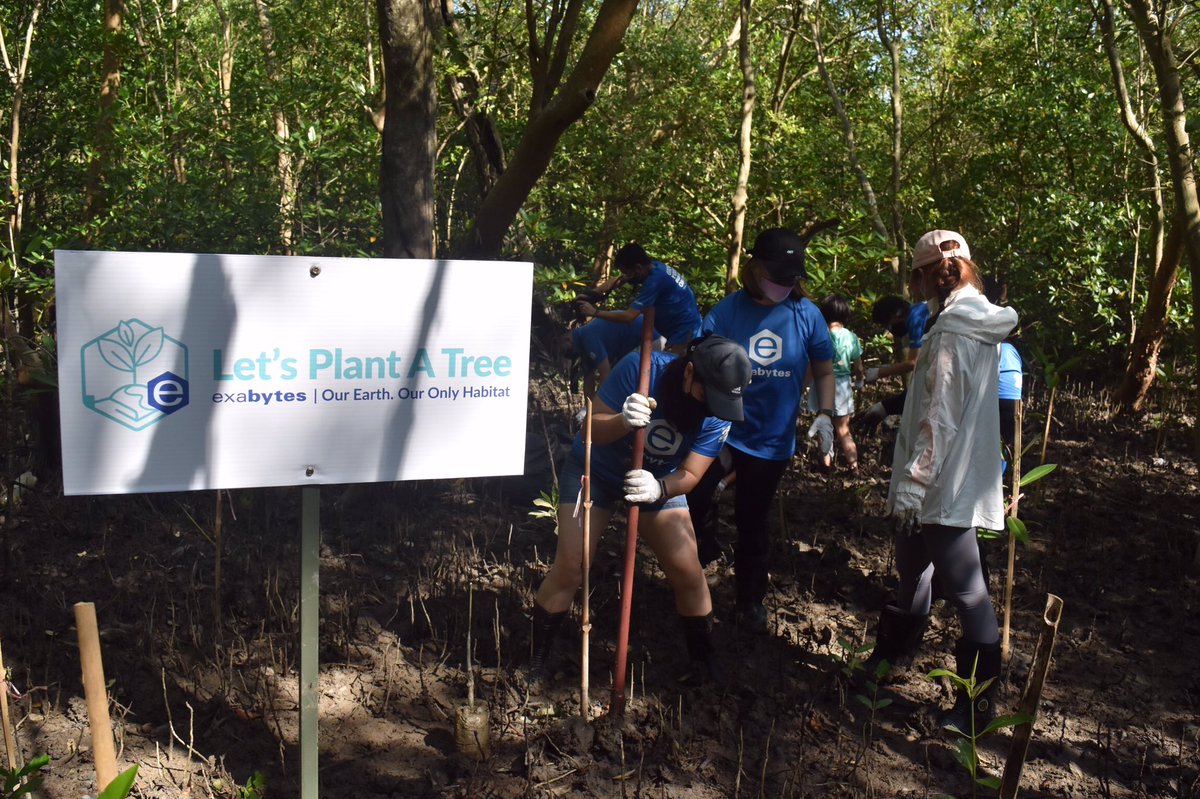 TheHabitatFoundation tweet media