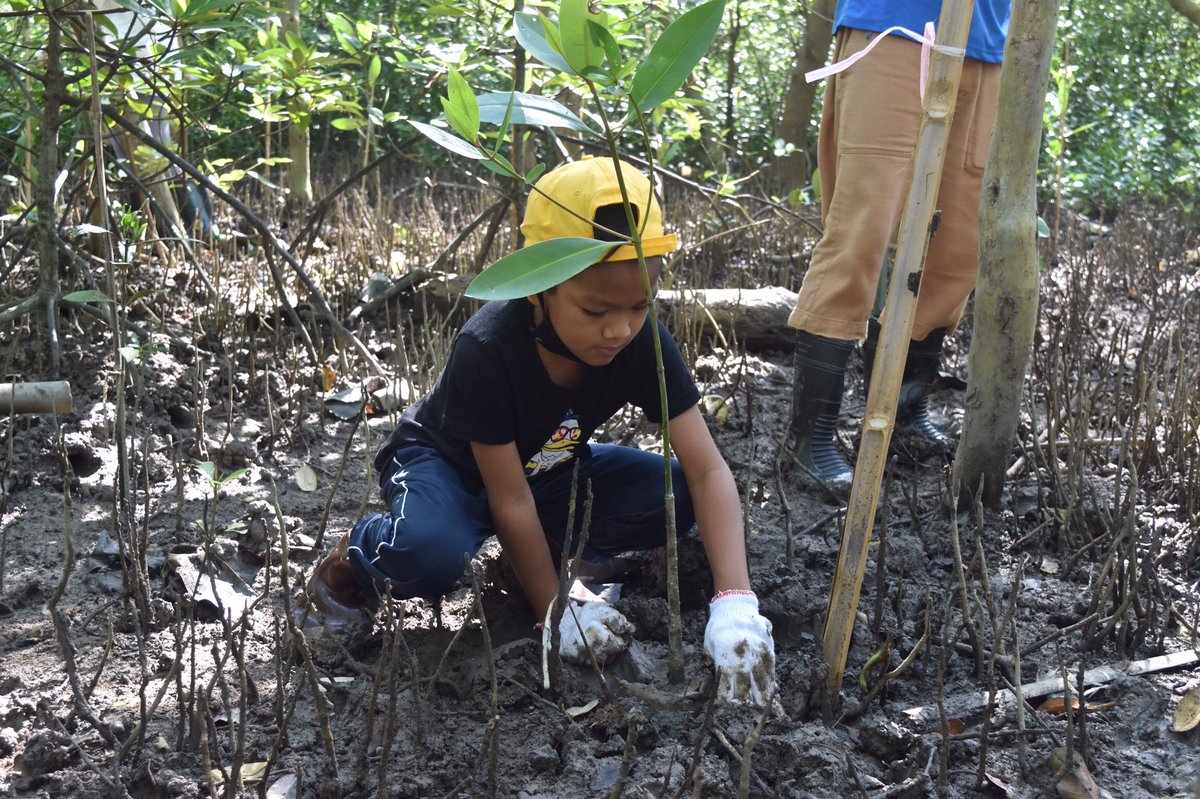 TheHabitatFoundation tweet media