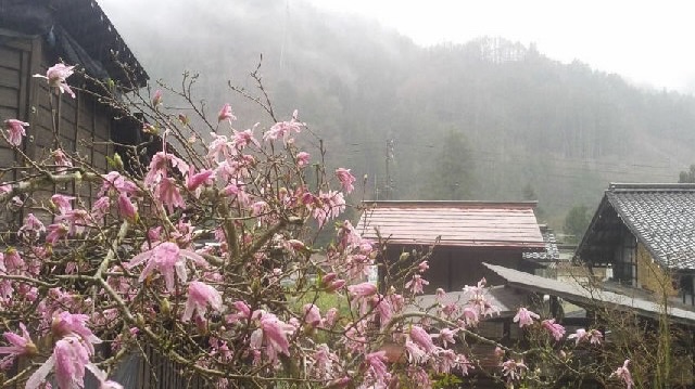 屋台組の皆さんに感謝のtwitterイラスト検索結果