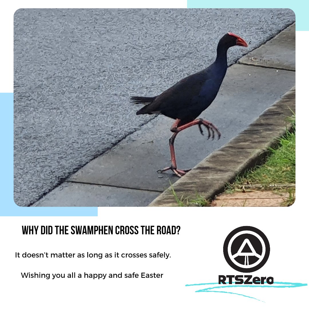 rtszero1 tweet picture