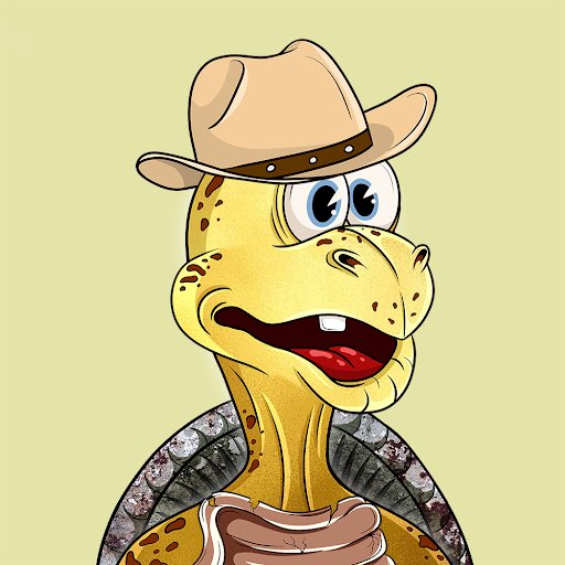 Timeless Turtles Club tweet media