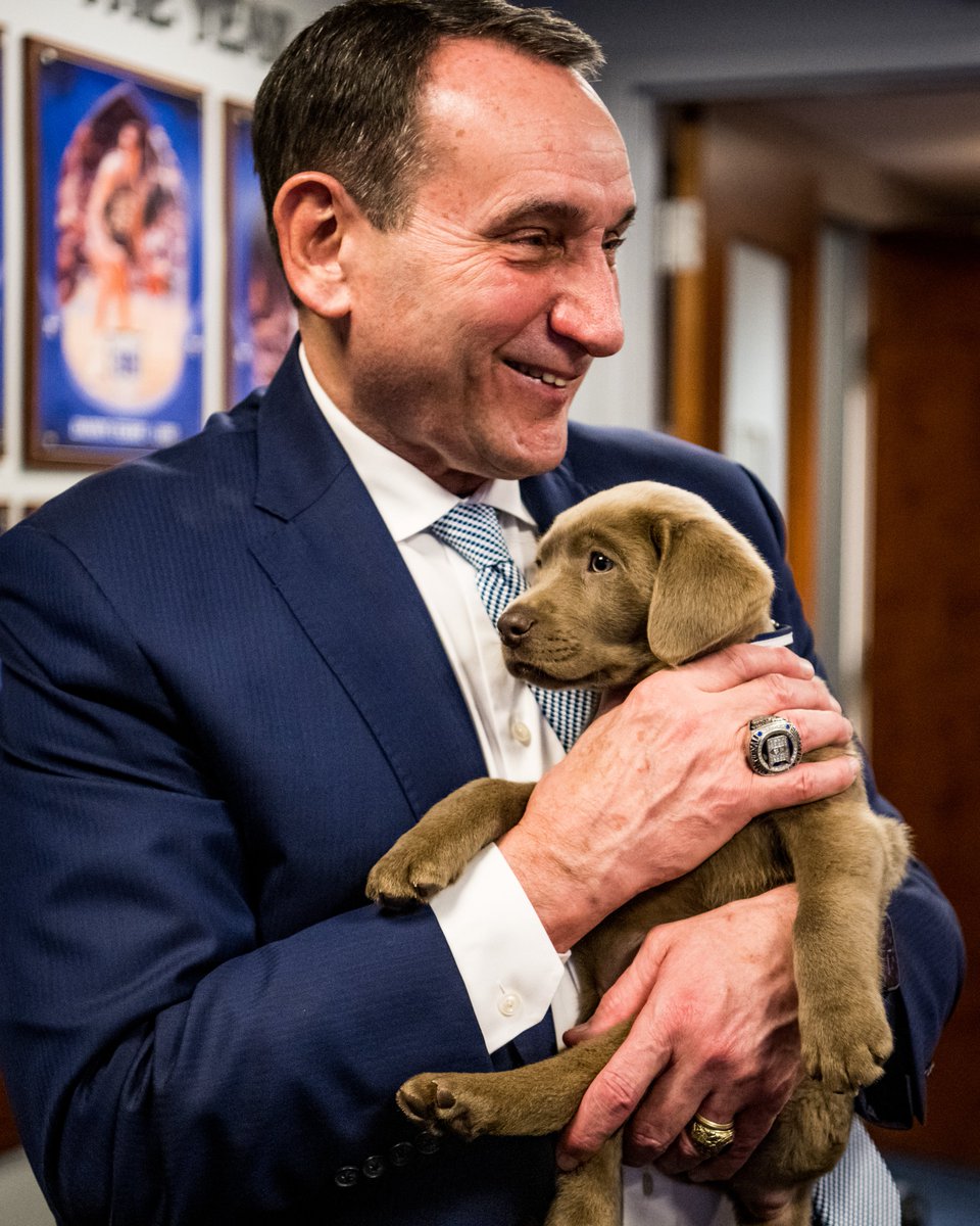 IN BETWEEN:

🐐 5 national titles (most in modern era)
🐐 13 Final Fours (most all-time)
🐐 15 ACC Tourney titles (most all-time)
🐐 1,129 wins at Duke (most all-time)

#CoachK