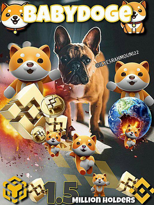 Ashkan72831906's tweet photo. @BinanceUS Baby doge **(((**(((***((*** https://t.co/Dulbt464In