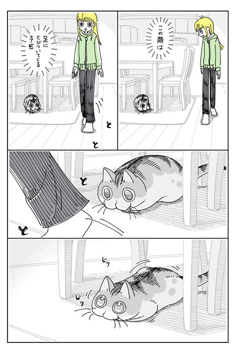 【漫画】「飛びつくニャ!」テーブルの下でじりじりと待ち伏せする猫…どうなった? 「最後のちくしょう!って感じの顔かわいい」 https://t.co/CnISqmCa6M