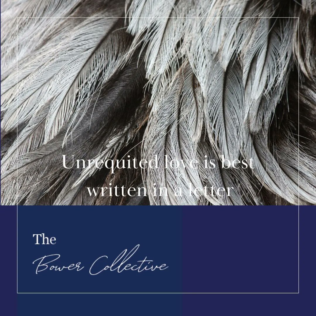 BowerCollect's tweet photo. The feel of the feather, the lightness, the flight and the mystery, just like a Bower’s letter. Join the well-written adventure.

https://t.co/pzXIQ8pc0a https://t.co/gnYPgDrp2y