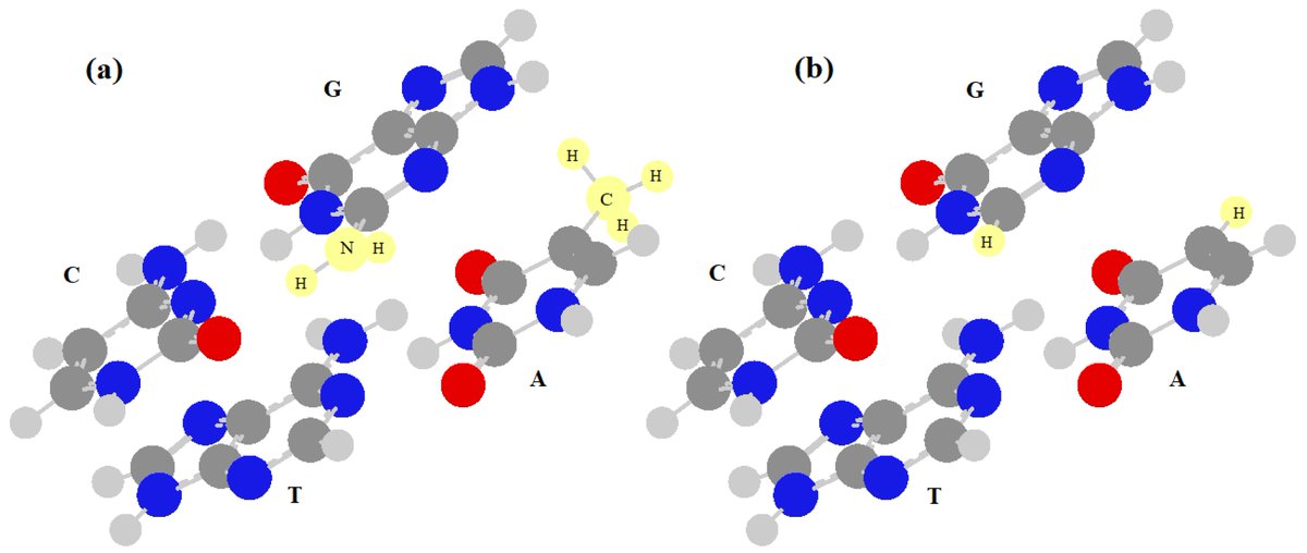 #MDPIJ 

📢A new publication in the Section "Biology &amp; Life Sciences" 

Affinity and Correlation in DNA 
by Dr. Giovanni Villani

🔗mdpi.com/2571-8800/5/2/…

#Affinity #Correlation #DNA