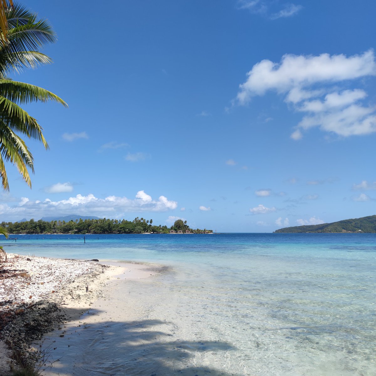 Hoe开 🏒 Gouvernement Français & US Hate Account tweet media